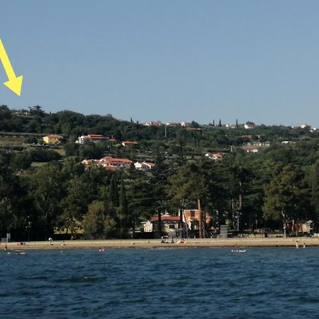 Апартаменты Apartma Monte Moro Анкаран Экстерьер фото